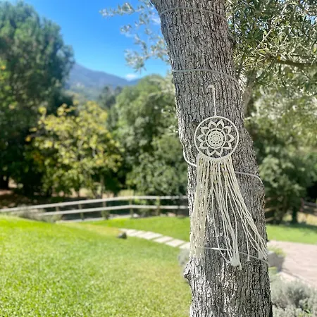 Casa Da Nascente Douro Holiday home