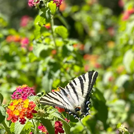 Σπίτι διακοπών Casa Da Nascente Douro