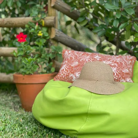 Casa Da Nascente Douro