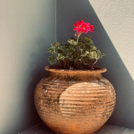 Casa Da Nascente Douro Vakantiehuis