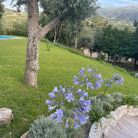 Casa Da Nascente Douro *