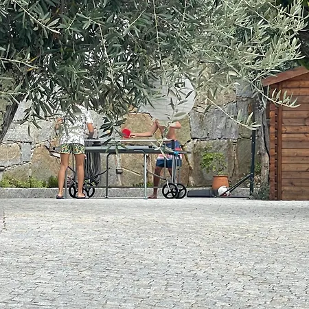 Casa Da Nascente Douro *