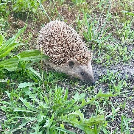 Casa Da Nascente Douro Σπίτι διακοπών
