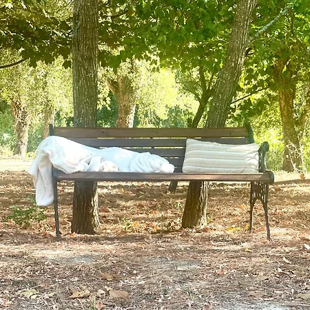 Casa Da Nascente Douro