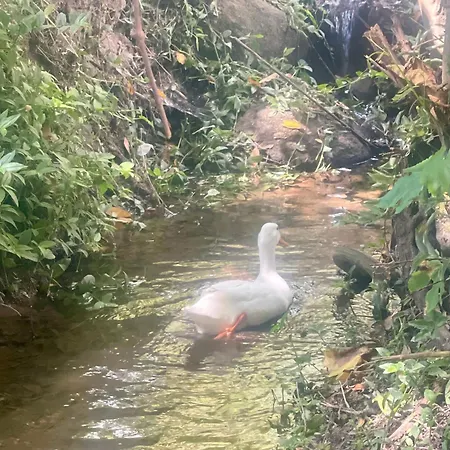 Casa Da Nascente Douro * Pacos de Gaiolo