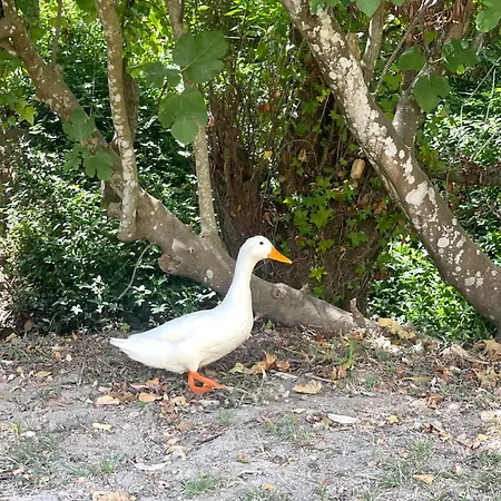 Casa Da Nascente Douro *