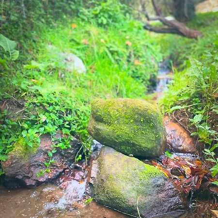Semesterbostad Casa Da Nascente Douro Pacos de Gaiolo