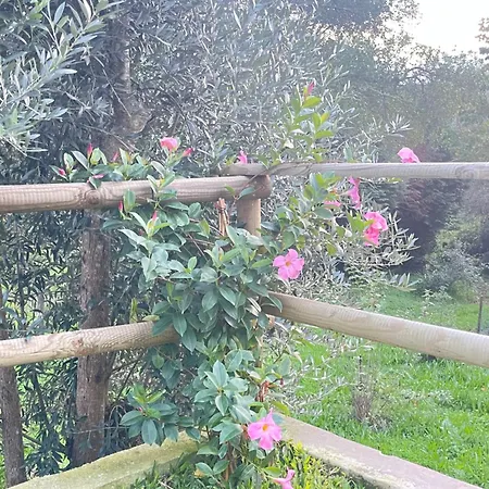 Semesterbostad Casa Da Nascente Douro *