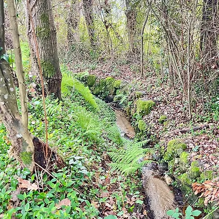 Casa Da Nascente Douro Semesterbostad