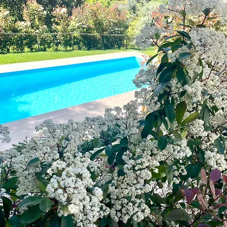 Casa Da Nascente Douro Pacos de Gaiolo