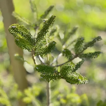 Casa Da Nascente Douro * Pacos de Gaiolo