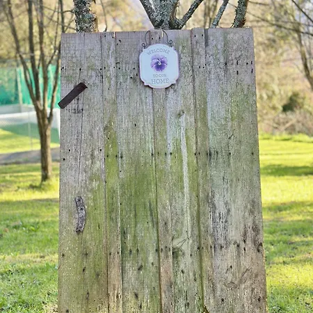 Semesterbostad Casa Da Nascente Douro *