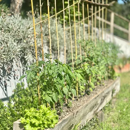 Casa Da Nascente Douro
