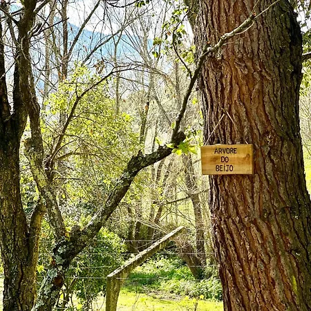 Casa Da Nascente Douro 度假居