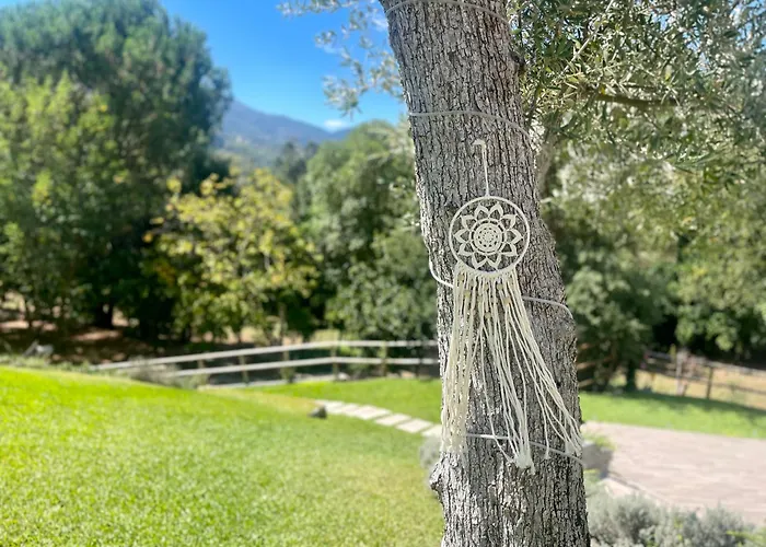 Casa Da Nascente Douro Holiday home