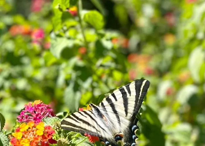 Ferienhaus Casa Da Nascente Douro