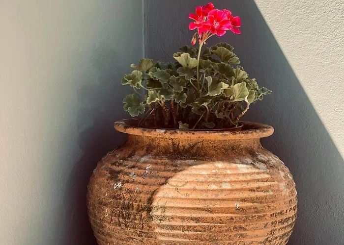 Casa Da Nascente Douro Ferienhaus