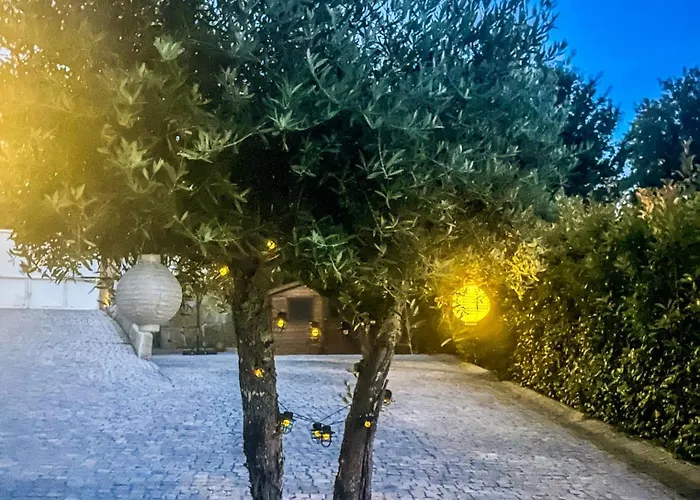 Casa Da Nascente Douro Holiday home *