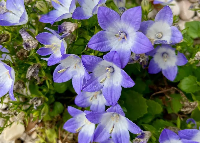 Holiday home Casa Da Nascente Douro *