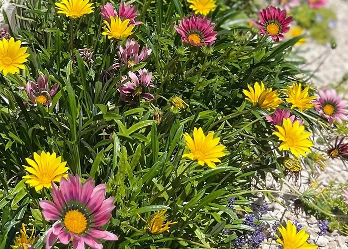 Дом отдыха Casa Da Nascente Douro *