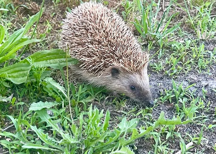 Casa Da Nascente Douro Ferienhaus