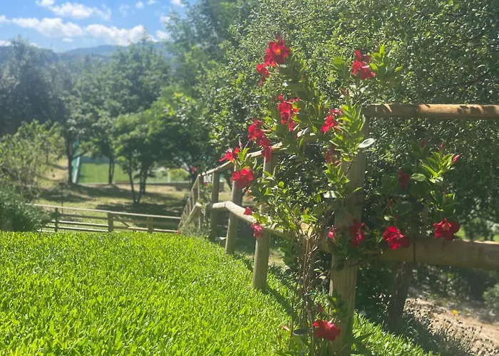 Holiday home Casa Da Nascente Douro *