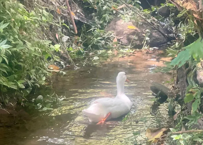 Casa Da Nascente Douro * Pacos de Gaiolo