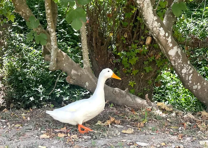 Casa Da Nascente Douro *