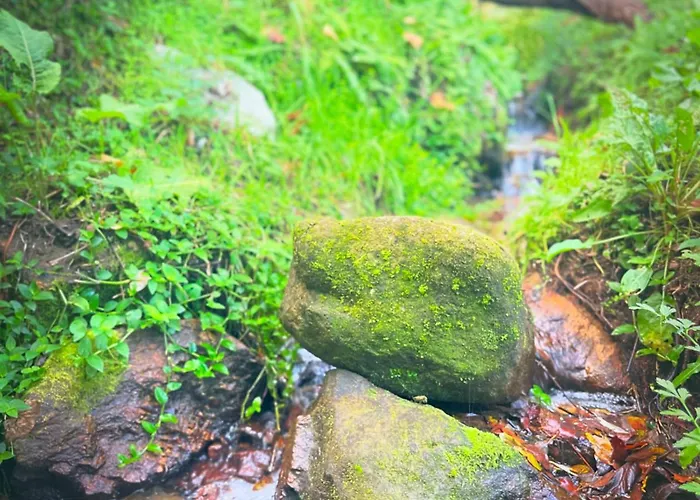 Holiday home Casa Da Nascente Douro Pacos de Gaiolo