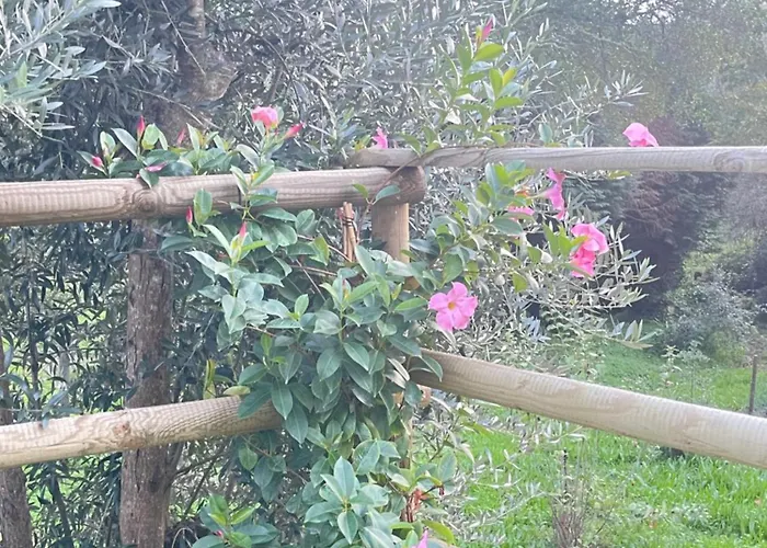 Holiday home Casa Da Nascente Douro *