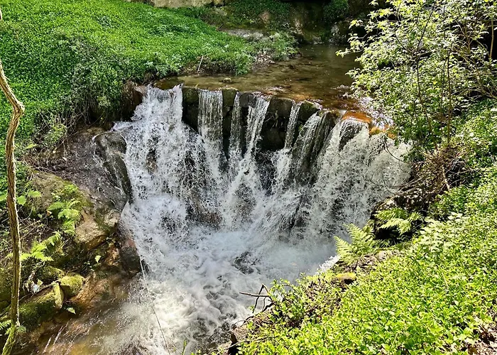 Casa Da Nascente Douro Ferienhaus