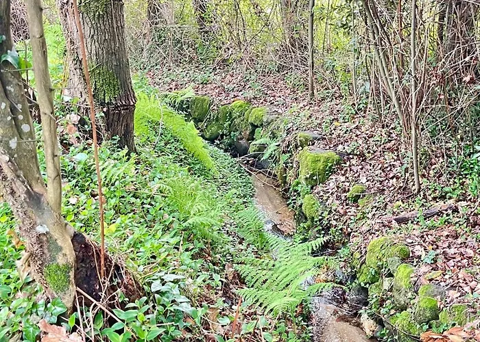 Casa Da Nascente Douro Ferienhaus