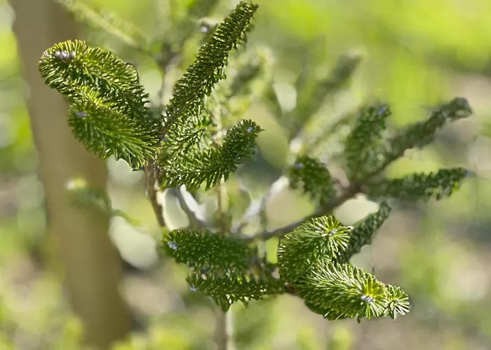 Casa Da Nascente Douro * Paços de Gaiolo