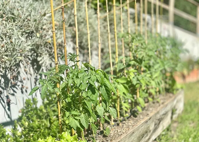 Casa Da Nascente Douro